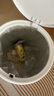 本迪压圈垃圾桶按压式带盖14L网红气压吸附大号家用卫生间自动铺袋桶 实拍图