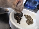 领先主食猫罐头猫咪零食湿粮无谷全价猫粮随心装85g*24罐（5种口味） 实拍图