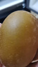佳沛（zespri）新西兰 阳光金奇异果12粒礼盒特大果单果约122-146g 猕猴桃 水果 实拍图
