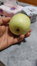 京鲜生山东王林苹果 净重3.5斤 单果130g+ 新鲜时令水果 源头直发 实拍图