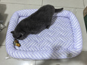 ZEZE宠物凉垫夏季降温冰窝猫窝四季通用猫咪冰垫狗狗垫子睡垫用品 实拍图
