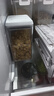 佳帮手按压式密封罐食品级杂粮收纳盒面粉宠物粮防潮储物罐1750ml2只装 实拍图