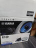 雅马哈（YAMAHA） NS-IC600吸顶音响喇叭套装 天花嵌入式背景音乐广播系统店铺家庭影院音响 NS-IC800（一对） 实拍图