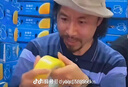 水星家纺枕套全棉枕头套100%纯棉抑菌枕头罩一对装双人家用48x74cm 实拍图