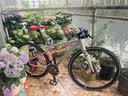 百琦F1平把公路车城市自行车成年人入门变速车内置车灯镁合金轮组车圈 格雷灰 XS码  适合身高：1.50-1.59M 实拍图