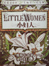 小妇人 文学名著（高分名家译本.无删减全本全译纪念版，150余年不朽的女性成长之歌，不负爱与自由。） 小说 文学 经典 实拍图
