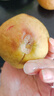 奶油白心红心芭乐 新鲜软糯低卡低热量轻食首先水果 1斤净重（红心）单果100g起 实拍图