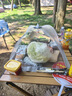 品喻（PINYU）饭菜罩子盖菜罩可折叠餐桌罩食物防苍蝇饭罩神器家用防尘罩伞夏季 实拍图