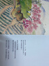 家在小院里 厚闲 暖心治愈系漫绘本画随笔解压焦虑插画集艺术散图文类似你今天真好看追寻逝去的时光几米蔡志忠书籍   实拍图
