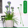 绿园匠植物防倒伏支撑杆玻纤爬藤架固定盆栽花卉护花叶花支架58厘米10支 实拍图