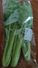 小白菜 约300g 实拍图