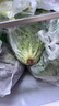 绿食者 沙拉蔬菜组合3.5斤 新鲜苦菊绿叶红叶生菜西餐沙拉健康轻食蔬菜 蔬菜沙拉组合3.5斤【无沙拉酱】 实拍图