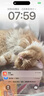 卫仕猫用化毛膏120g*2宠物猫维生素鱼油化毛球营养膏微量元素化毛球 实拍图