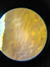 科学罐头（Science  can）立式学生显微镜六一儿童节礼物男女孩益智玩具光学台式生日礼盒 实拍图
