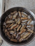 蛏子鲜活6斤野生大竹节海蛏子肉肥海鲜水产双头蛏子贝壳类海蛏子 2500g 买五斤囎一斤【实发6斤】 实拍图