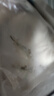 狗不理包子手工猪肉荠菜包560g 16个包子营养小笼包速食早餐半成品 实拍图