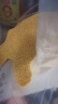 十月稻田 黄小米 溯源  2.5kg（小黄米 五谷杂粮 粥米 国标一级）5斤 实拍图