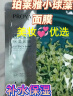 珀莱雅面膜 小球藻面膜补水保湿海藻面膜男女士补水面膜 33片 实拍图