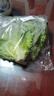 散叶生菜约400g 实拍图