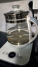 九阳（Joyoung）0胶水净萃全玻璃养生壶 烧水加快40% 炖煮恒温泡茶壶电热水壶办公室1L迷你花茶壶WY104 绿色  实拍图