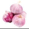 京喜自营云南蒜独头蒜调料京东买菜蔬菜新鲜独头蒜 【精选】独头蒜（单果2CM-） 3斤 毛重 实拍图