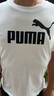 彪马PUMA 宽松简约休闲短袖T恤男女款夏季运动上衣 688958 实拍图