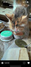 网易严选猫罐头主食罐全价无谷湿粮发腮增肥主食罐 三文鱼味85g*6罐 实拍图