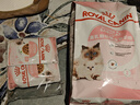 皇家幼猫奶糕 幼猫猫粮 BK34 通用粮 1-4月 2KG 实拍图