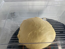 长帝（changdi）【国家补贴】厨师机和面机家用全自动和面揉面一体机多功能电动发酵料理机冷热双舱企鹅顶顶Pro 实拍图