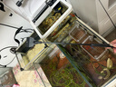 汉洋鱼缸刮藻刀水族箱除藻器 底砂整理平沙铲草缸工具基础款32cm 实拍图