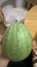 现摘现发2k西瓜当季手剥薄皮小糖丸西瓜新鲜水果冰糖子小西瓜 2-3斤（1-2个） 实拍图