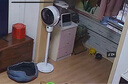 艾美特（AIRMATE）【小暴风语音】空气循环扇大风量电风扇家用小型落地扇升级加高电扇轻音柔风小风扇 FA18-SR160 实拍图