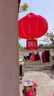 多彩多艺喜字结婚灯笼挂饰大红植绒喜庆婚房阳台宫灯户外用品婚庆小灯笼 80#鸳鸯喜字直径47厘米（一对） 实拍图