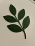 安利【草木狼官方官网店】纽崔莱蛋白质粉增强体质中老年送病人礼佳选 大蛋白770g 随机发限定包装 实拍图