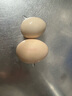 京喜加农家新鲜散养鸡蛋单枚40g正负5g谷饲蛋初生蛋溏心蛋早餐生鲜买菜 40枚 实拍图