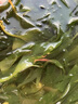赶海弟 海带苗250g 盐渍新鲜嫩苗 海带芽丝结 凉拌菜 火锅食材 海鲜干货 实拍图