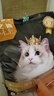 亿迪  猫粮全价成猫幼猫国产蓝猫布偶流浪猫全阶段20斤 实拍图