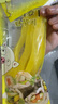 豆八哥寿司萝卜条海苔紫菜包饭专用食材材料日本料理风味寿司店大 寿司萝卜200g+寿司醋100ml 实拍图