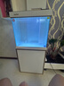 森森（SUNSUN）大型鱼缸底过滤水族箱客厅家用落地玻璃生态金鱼缸 【实时温显+灯控】珍珠白 0.6米长35cm宽 实拍图