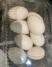 耕果妙新鲜大鹅蛋6枚1.56斤农家散养新鲜鹅蛋130-160g/枚 源头直发 包邮 实拍图