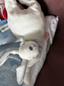 澳贝（auby）婴幼儿玩具小兔安抚巾宝宝哄睡神器阿贝贝新生儿毛绒手偶满月礼物 实拍图