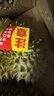 京鲜生 进口金枕头榴莲 2-4个装 总净重14斤以上 鲜果 生鲜 新鲜水果 实拍图