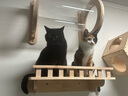 普安特费洛蒙猫咪防应激情绪舒缓剂安抚情绪猫咪外出猫面部信息素插电款 实拍图