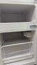 志高（CHIGO）【送货上门】 小冰箱双门小型电冰箱 家用小冰箱双开门冰箱宿舍租房办公室冷藏冷冻迷你节能冰箱 46L双门【一级能效】上冷冻下冷藏 实拍图
