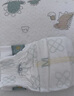 babycare皇室狮子王国弱酸纸尿裤bbc宝宝尿片夏季超薄透气婴儿尿不湿尿片 迷你装M码 1包 25片 【体重6-11KG】 实拍图