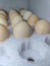 京鲜生可生食标准鲜鸡蛋30枚礼盒装3斤 源头直发 实拍图