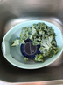 东菱（Donlim）【国家补贴】转转果蔬清洗机家用食材净化洗菜除菌神器去除农残 无线便携  DL-1326静谧蓝 实拍图