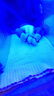 小二蓝黄疸蓝光灯家用新生儿黄疸照蓝光烤黄疸婴儿蓝光箱宝宝照黄疸仪器 蓝光箱配品（尿裤） 实拍图