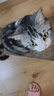 皇家肠道处方粮（适中能量）GIM35 猫咪肠胃消化支持肠道处方粮1.5KG 实拍图