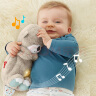 费雪（Fisher-Price）婴儿玩具安抚玩偶哄睡六一儿童节礼物-音乐安抚酣睡小水獭GHL41 实拍图